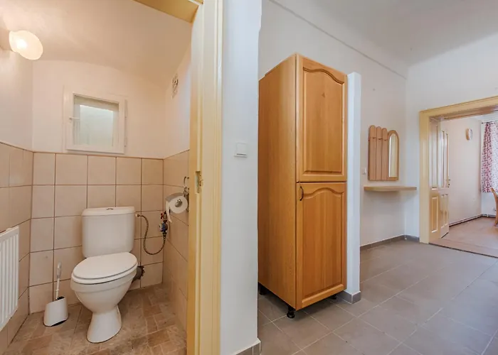 Pod Starou Vezi 公寓 *